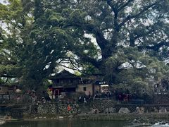 -云水谣景区