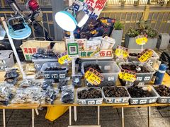 -市府路小吃城(民俗文化广场锦苑店)