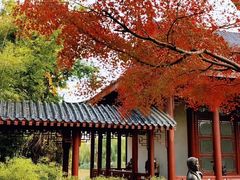 -堤角公园