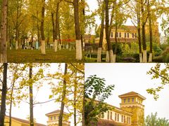 -府河摄影公园