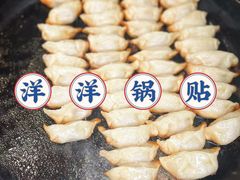 -洋洋锅贴
