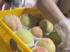 -老袁家蜜桃农场·阳山水蜜桃