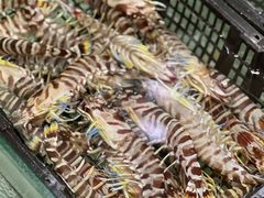 -寻味顺德·南记酒家·传统顺德菜·鱼生(广源路店)