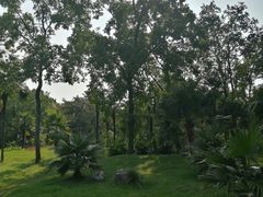 -杭州植物园