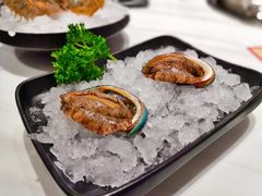 鲜活小鲍鱼-新一哥粤菜火锅(瑞金店)