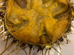 -海胆小馆(东北水饺·春柳店)