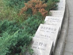 -北京麋鹿生态实验中心
