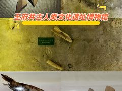 -王府井古人类文化遗址博物馆