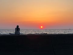 -南纪白浜Toretore市场