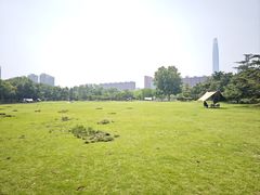 -泰丰公园
