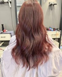 点击看大图 -藤野造型