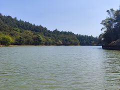 -广州白江湖森林公园