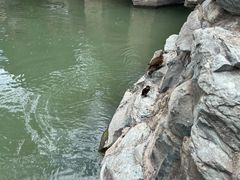 -颐和园