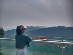 -铁山坪森林公园