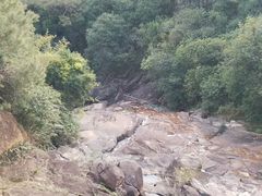 -广州白江湖森林公园