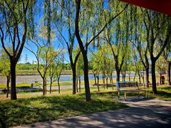 -永定河休闲森林公园