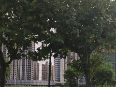 -栖露营camping·天幕烧烤·团建拓展·采摘营地
