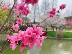 -苏州上方山国家森林公园