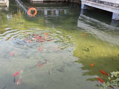 -花洲书院