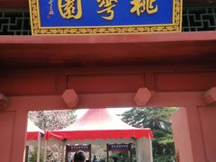 -桃花堤公园