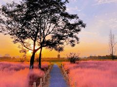 -汉长安城未央宫国家考古遗址公园