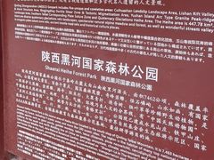 -黑河国家森林公园