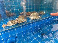 -锅老头海鲜铁锅炖