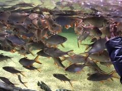 -多彩贵州城极地海洋世界