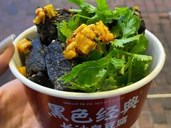 -黑色经典臭豆腐·湖南特产(坡子街店)