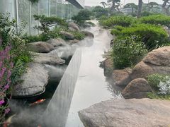 -罗红摄影艺术馆