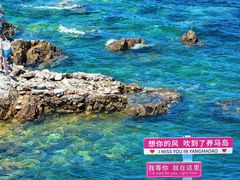 -养马岛旅游度假区