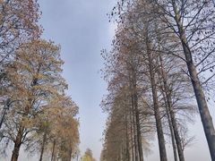 -东湖听涛景区