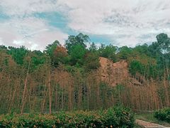 -神光山国家森林公园