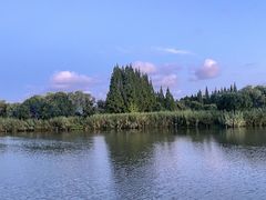 -沙家浜风景区