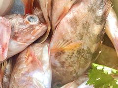 -潮中人·潮州菜(益乐路店)