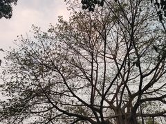 -南宁花花大世界景区