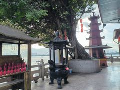 -仓山金山寺