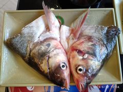 鲶鱼头-青岛小羔羊火锅(李村公园店)