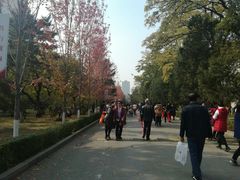 -辽宁大学(崇山校区)