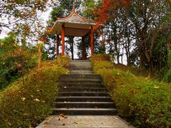 -田心森林公园