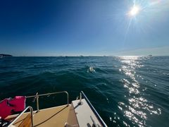 -小猫钓鱼海钓俱乐部(椰梦长廊店)