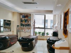 -碧莲盛·不剃发植发