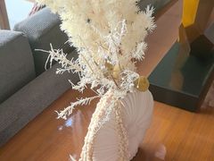 -浅深Cheersum(曹杨店)