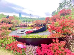 -莲花山公园