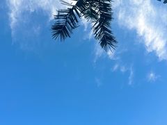 -苏州湾梦幻水世界
