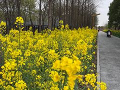 -柳鹭田园区
