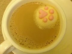 -猫色咖啡·猫咖