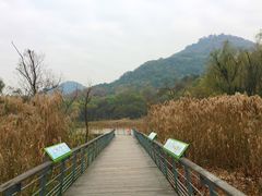 -西湖风景区-江洋畈生态公园