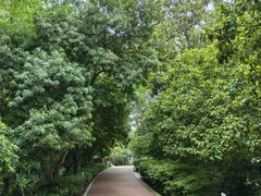 -金鸡湖桃花岛