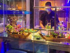 -千岛蚝高压锅生蚝·人参火锅(白云万达店)